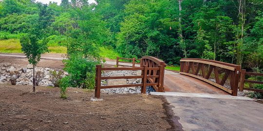 Pedestrian north park bridges